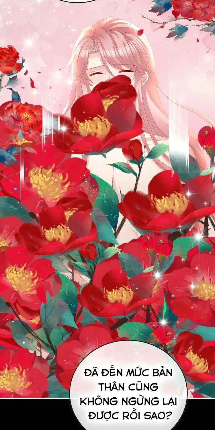 Chapter 53 trang 41